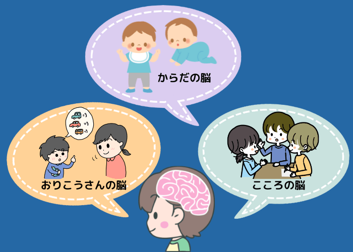 育脳に必要な3つの脳の画像解説